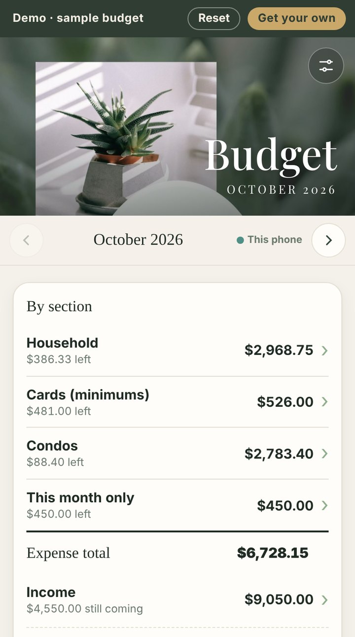 Budget demo: monthly overview of household bills, cards, rentals and income
